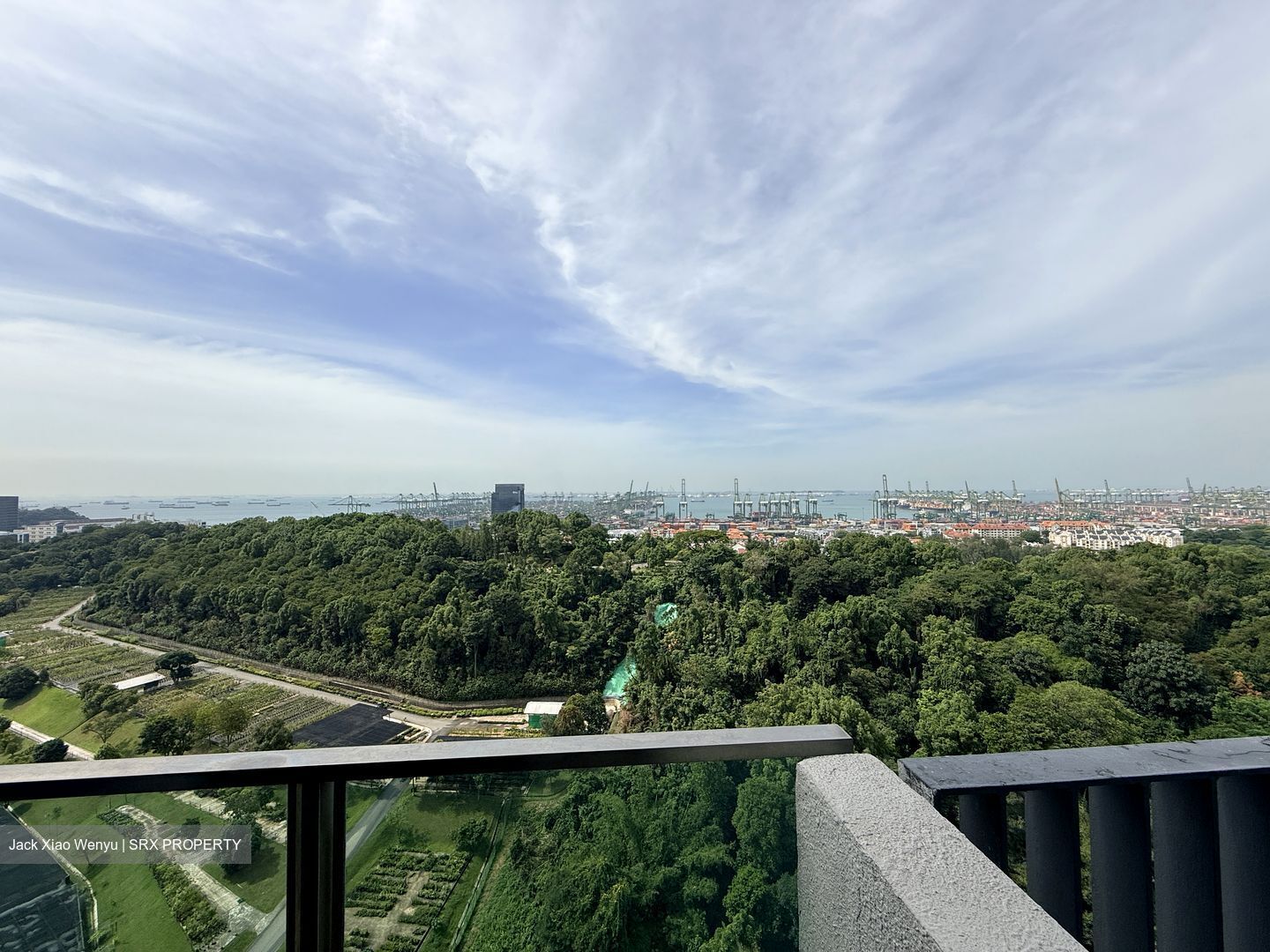 Normanton Park (D5), Apartment #501592811